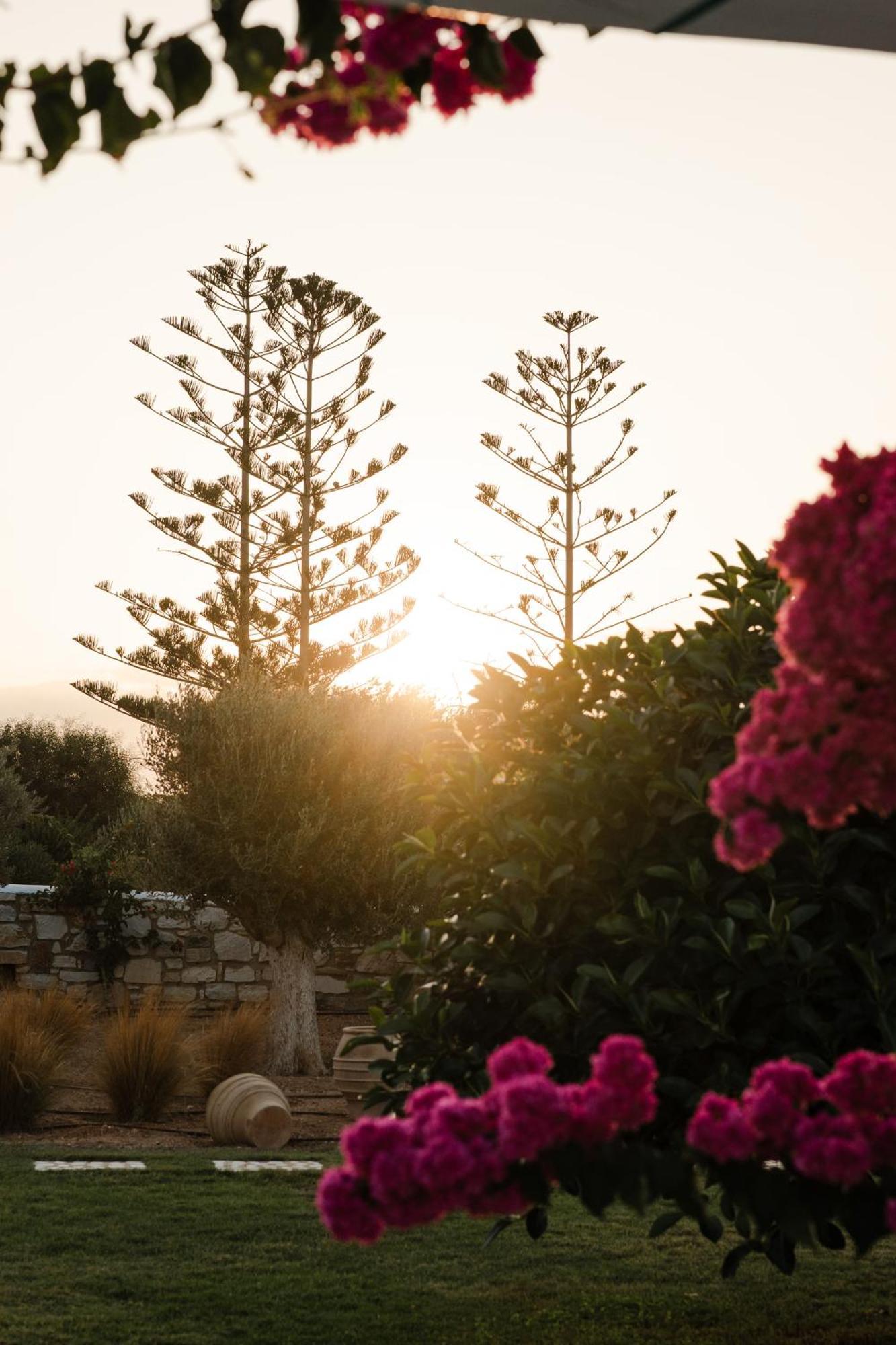 White Dunes Luxury Boutique Hotel Santa Maria  Luaran gambar