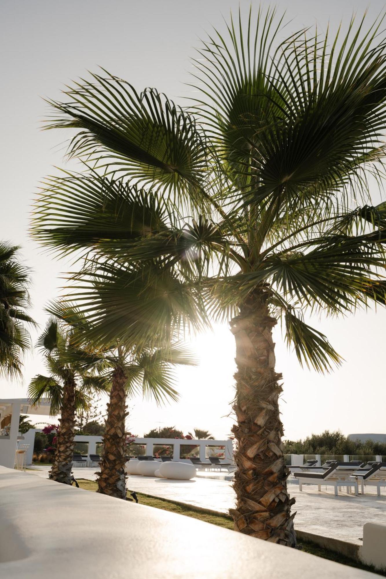 White Dunes Luxury Boutique Hotel Santa Maria  Luaran gambar